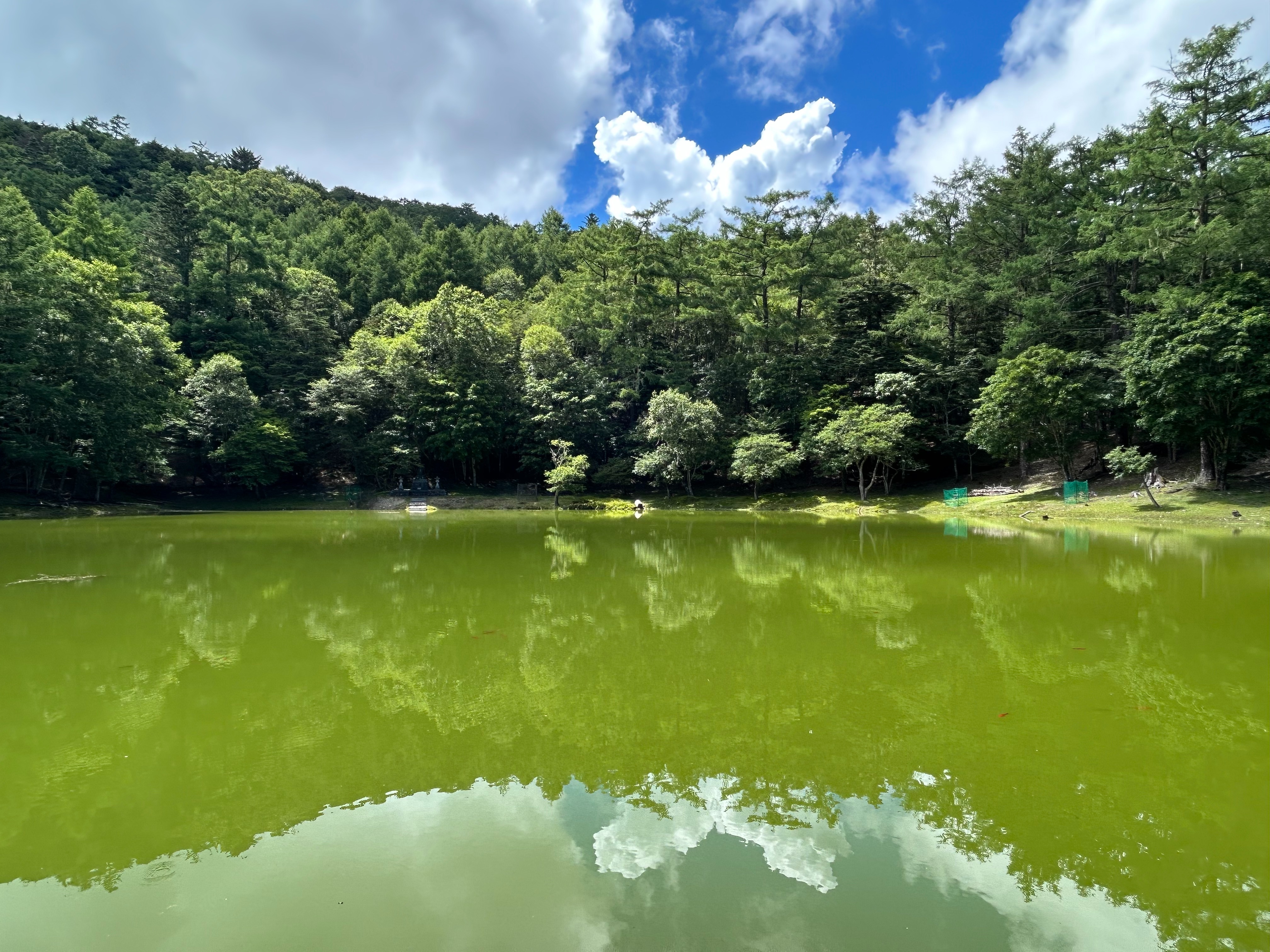 f:id:yoyorinrinyuyu:20250722230858j:image f:id:yoyorinrinyuyu:20250722230858j:image