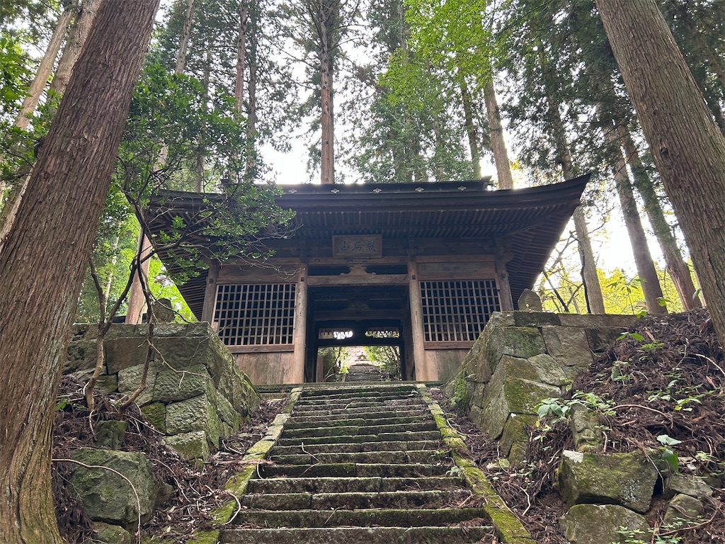 f:id:yoyorinrinyuyu:20251020092348j:image f:id:yoyorinrinyuyu:20251020092348j:image