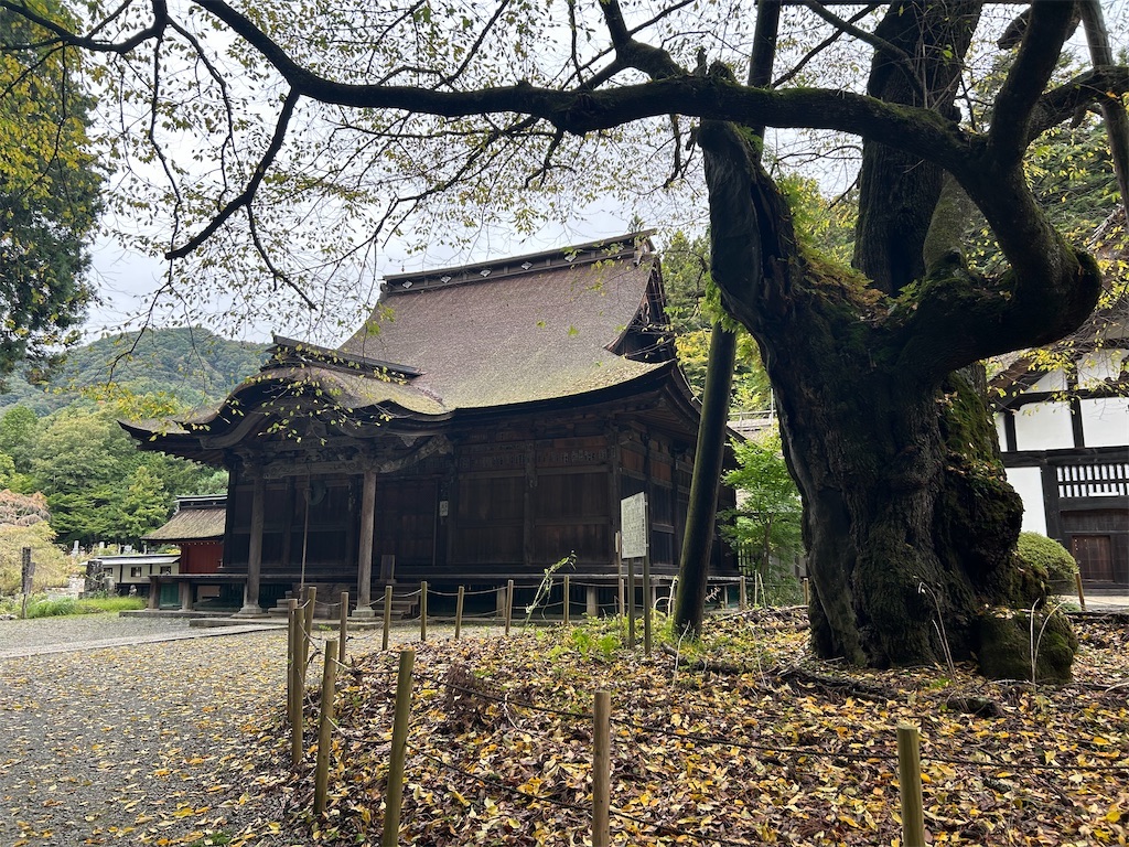 f:id:yoyorinrinyuyu:20251020092406j:image f:id:yoyorinrinyuyu:20251020092406j:image