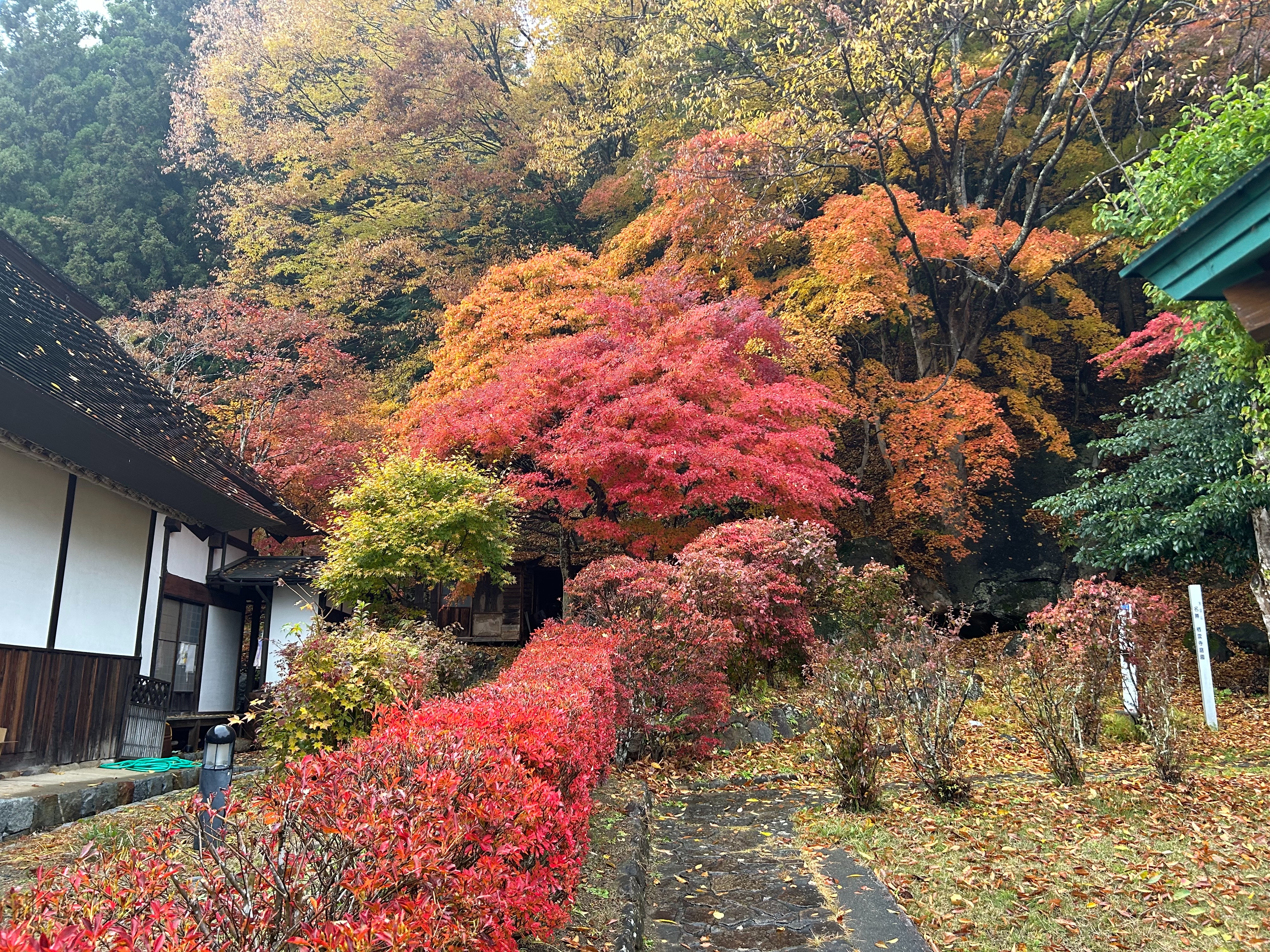 f:id:yoyorinrinyuyu:20251109224000j:image