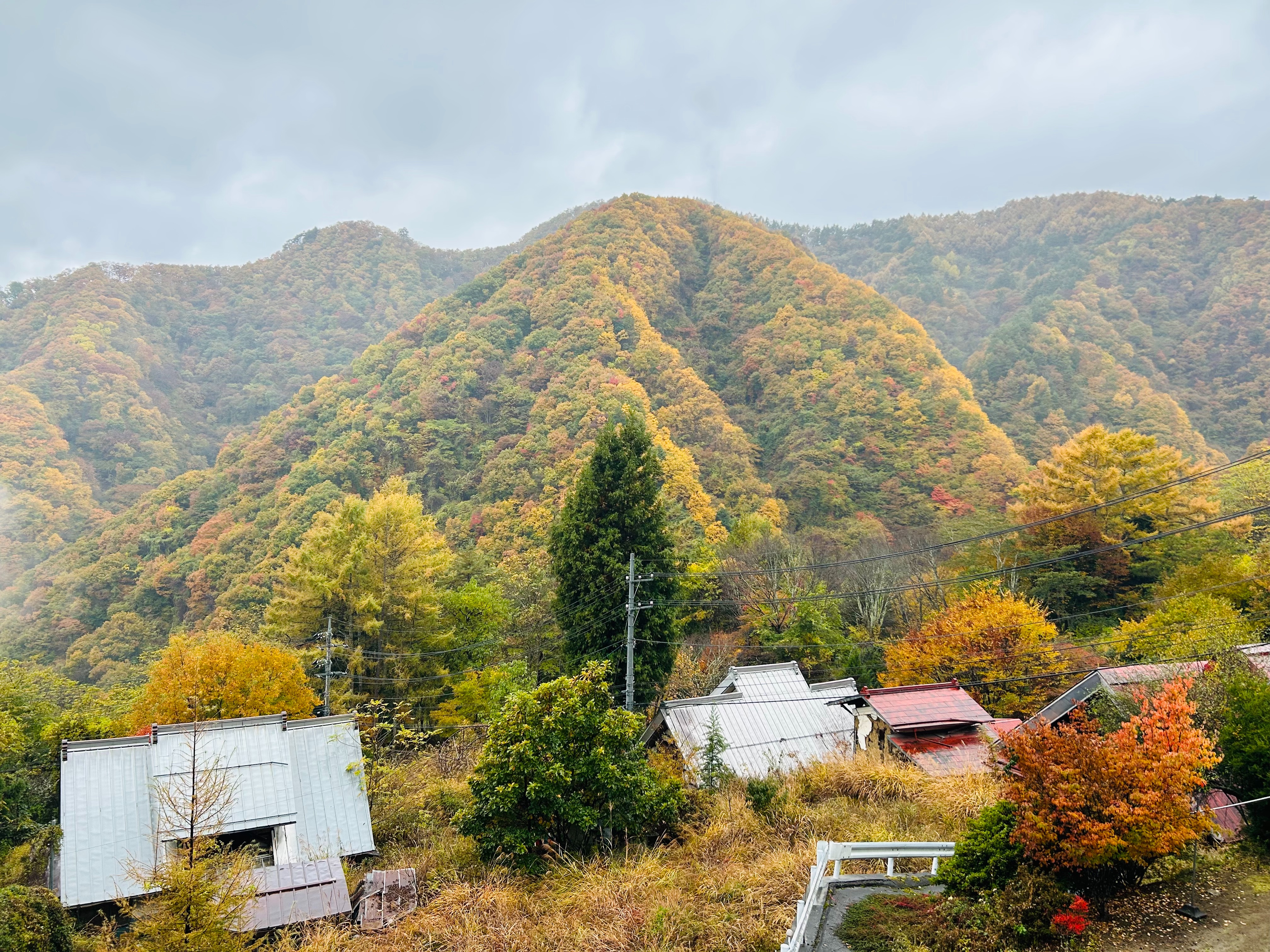 f:id:yoyorinrinyuyu:20251109224047j:image