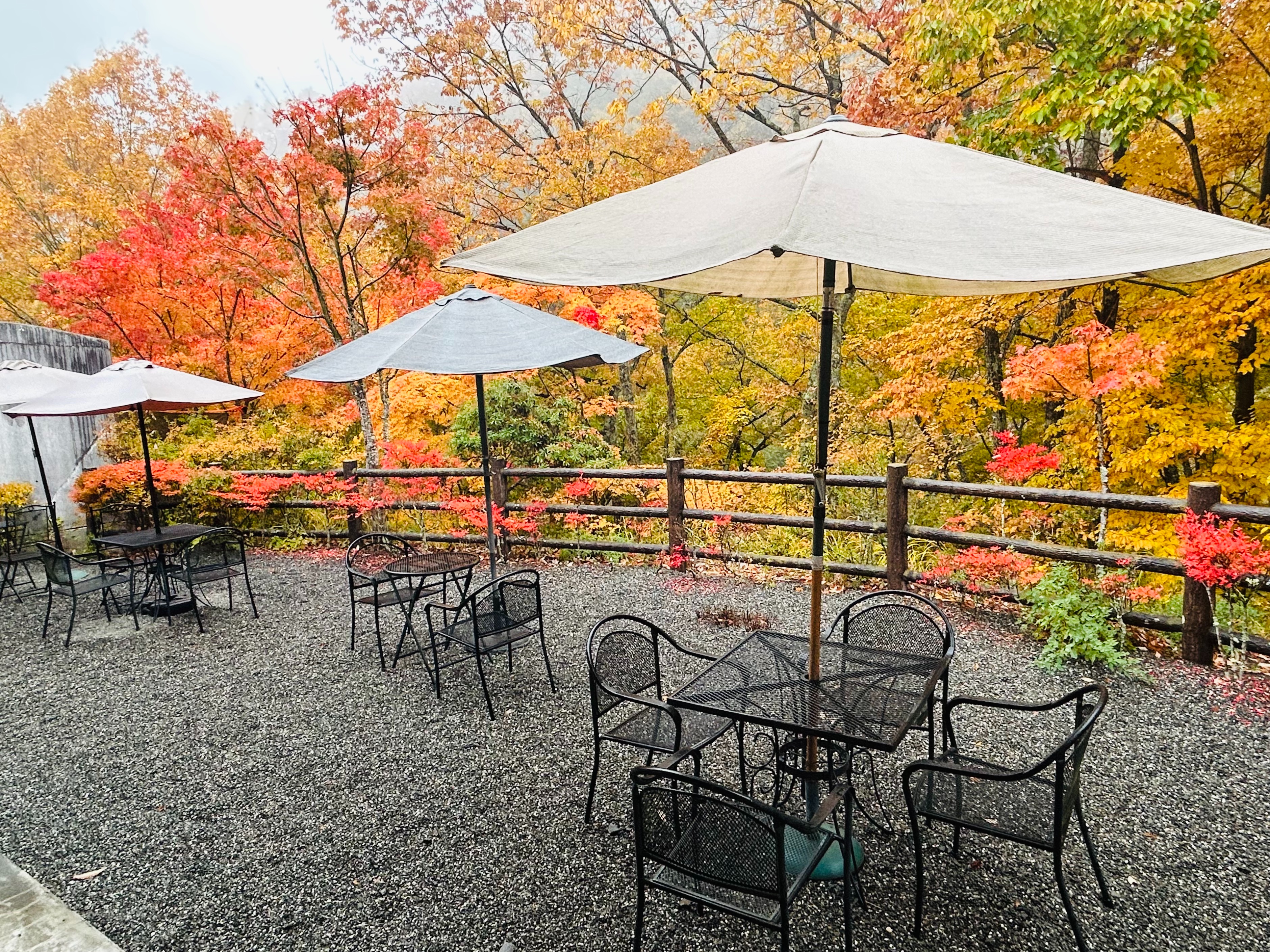 f:id:yoyorinrinyuyu:20251109224056j:image