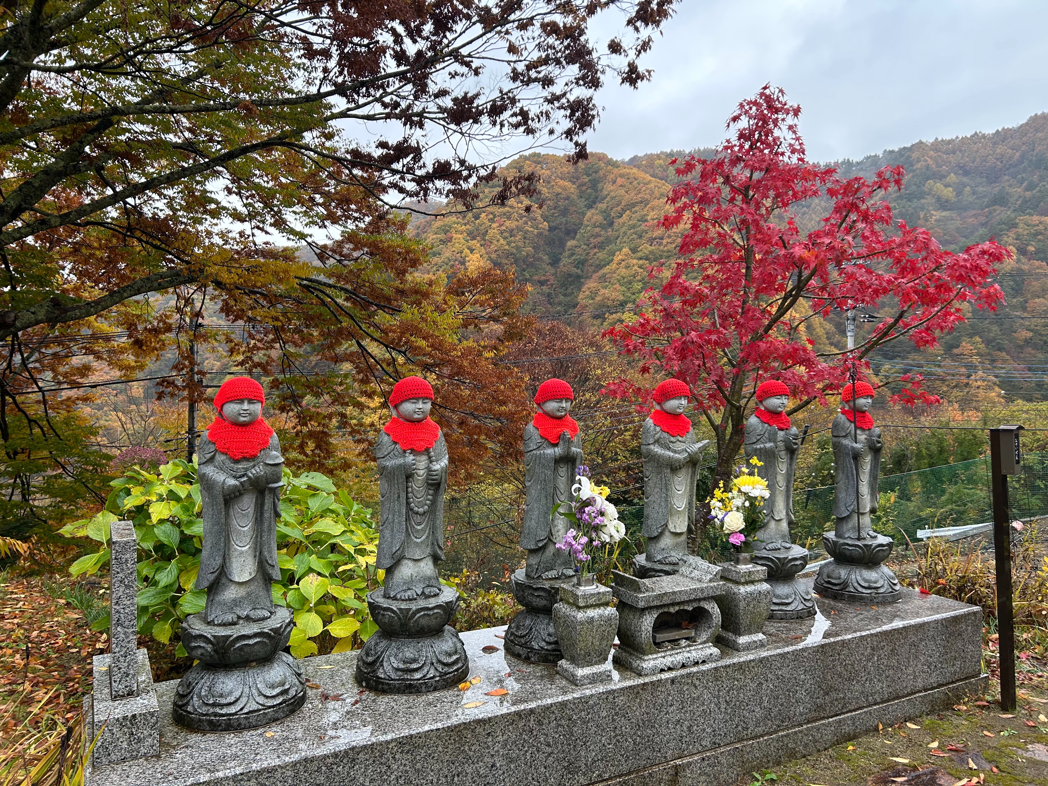 f:id:yoyorinrinyuyu:20251109224108j:image