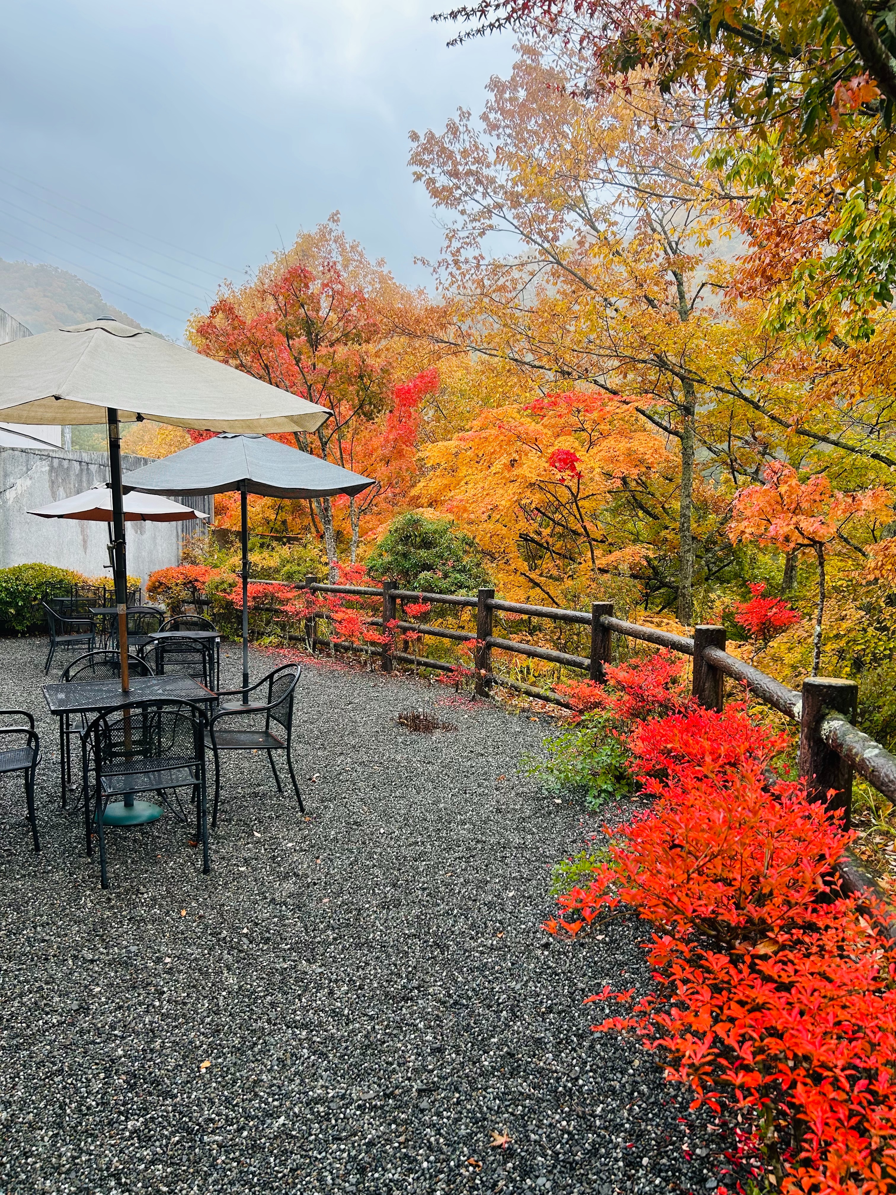 f:id:yoyorinrinyuyu:20251109224117j:image