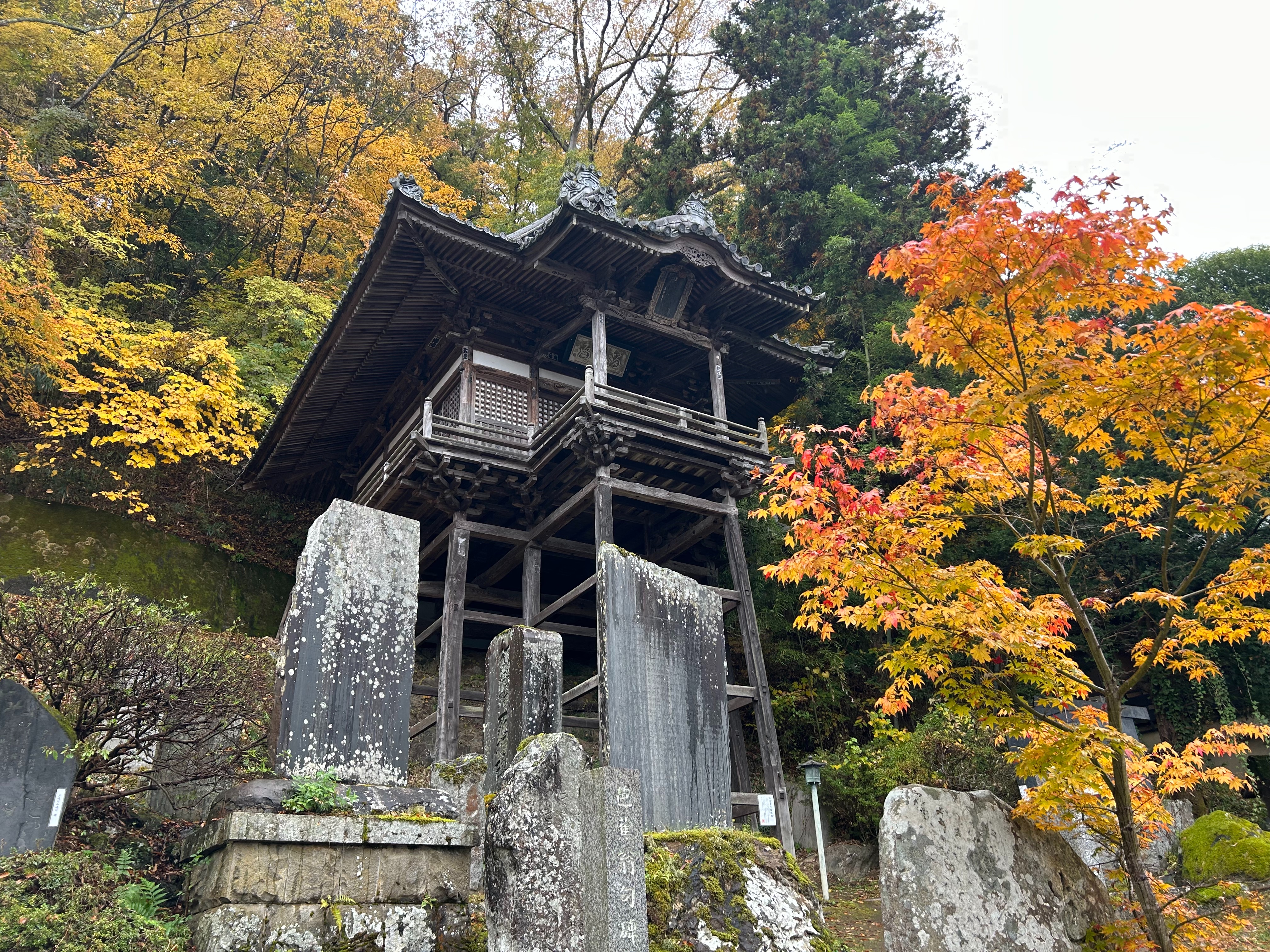 f:id:yoyorinrinyuyu:20251109224628j:image