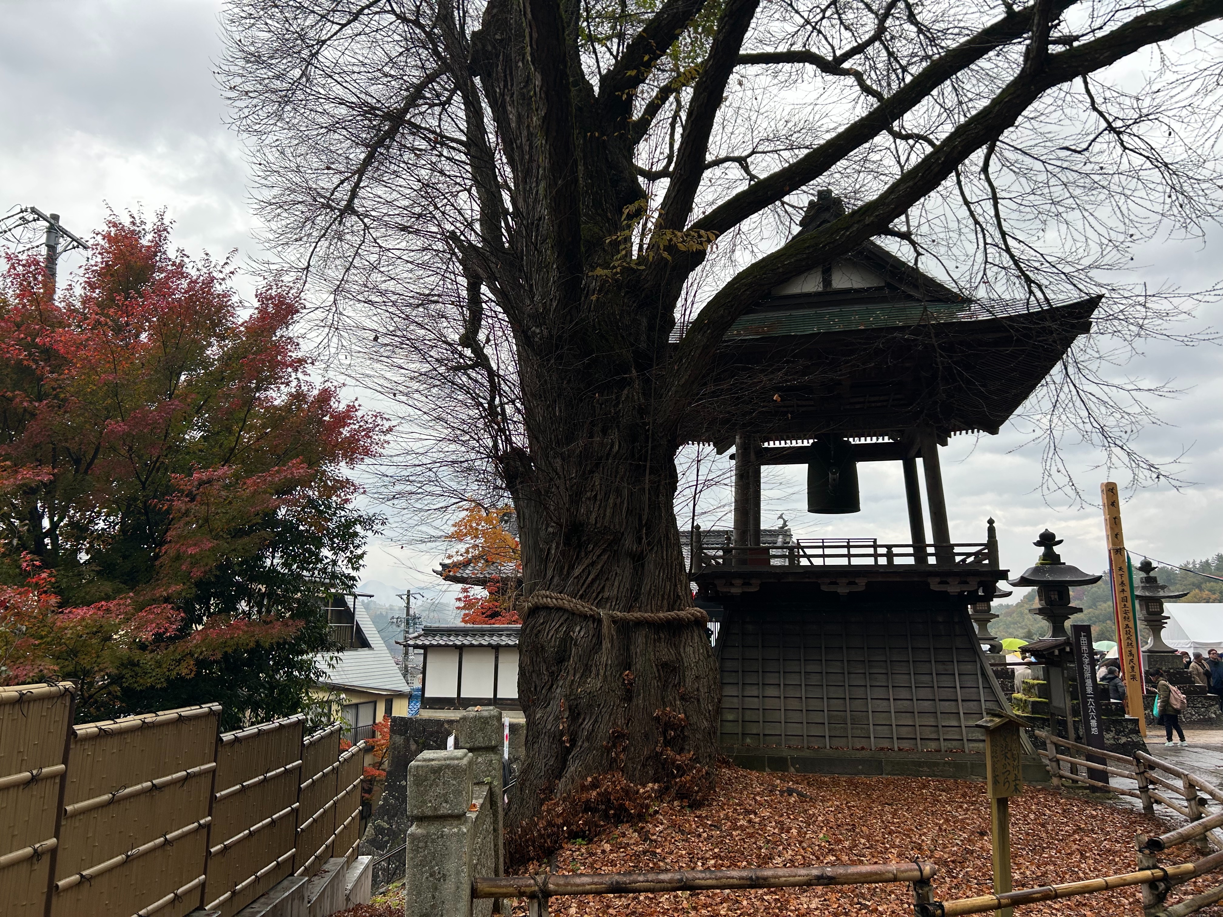 f:id:yoyorinrinyuyu:20251109224638j:image