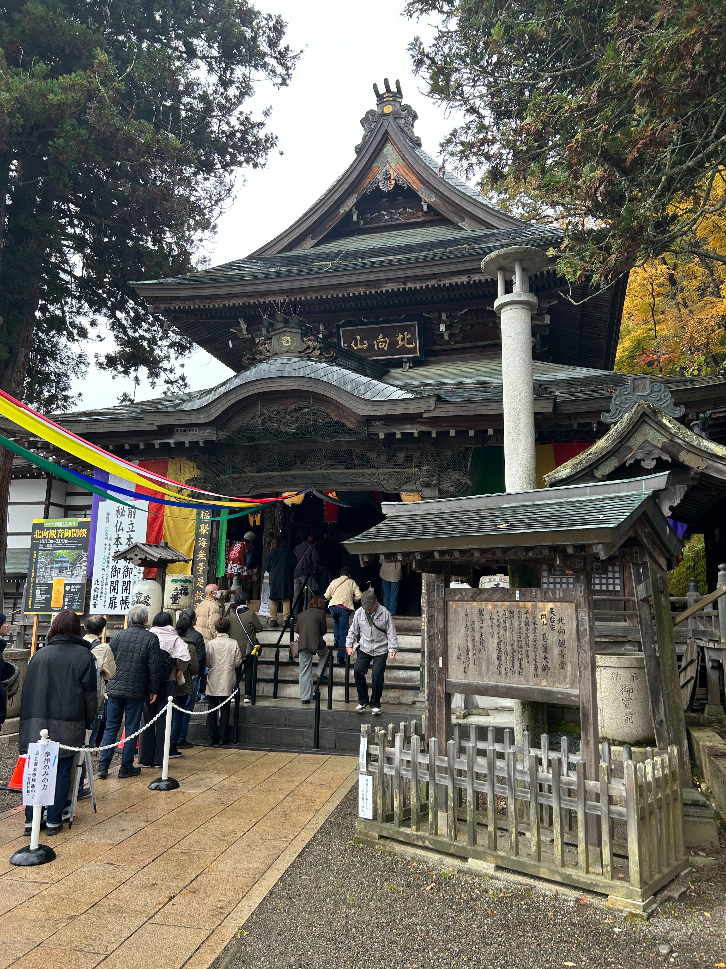 f:id:yoyorinrinyuyu:20251109224647j:image