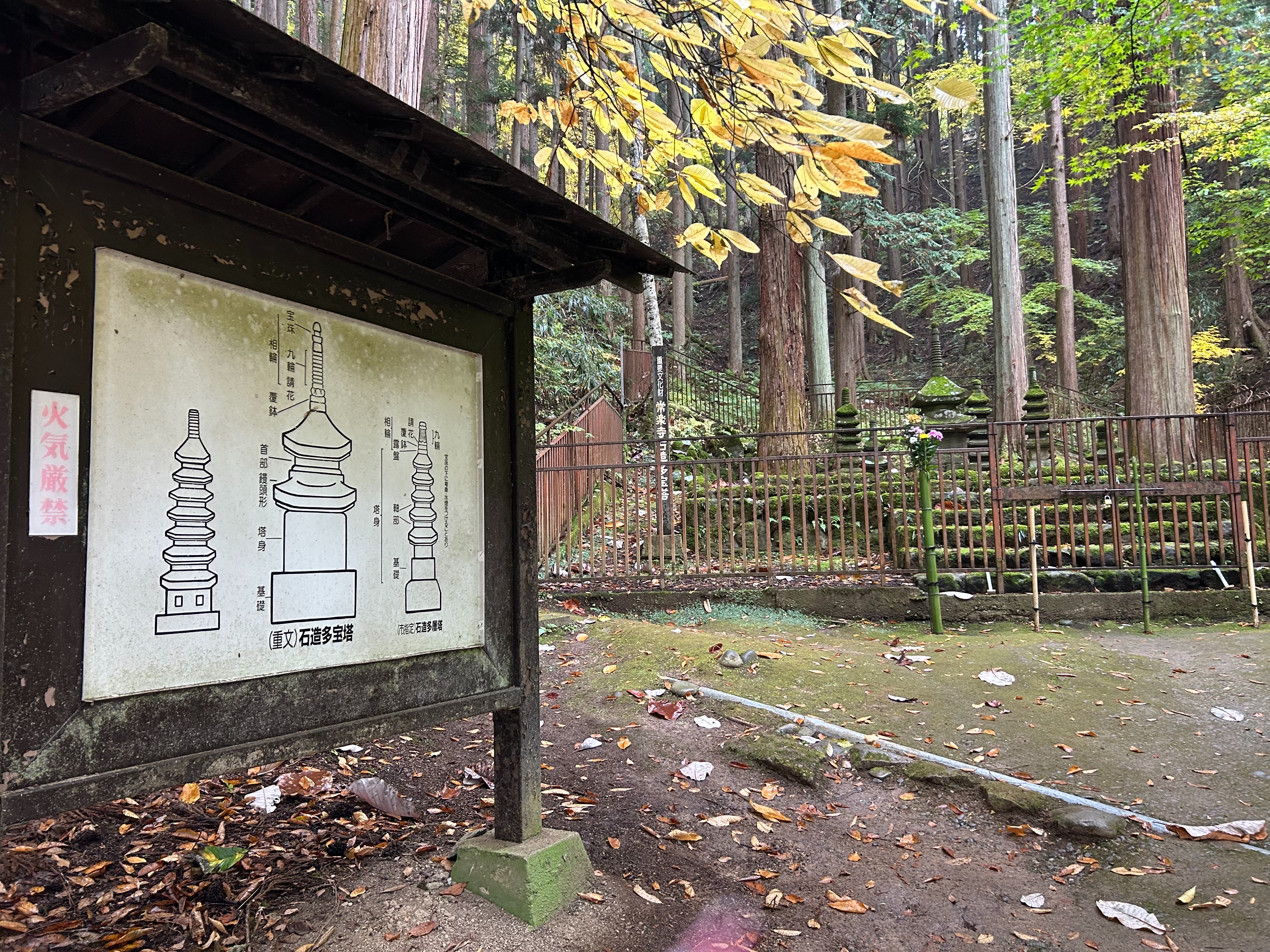 f:id:yoyorinrinyuyu:20251109225207j:image