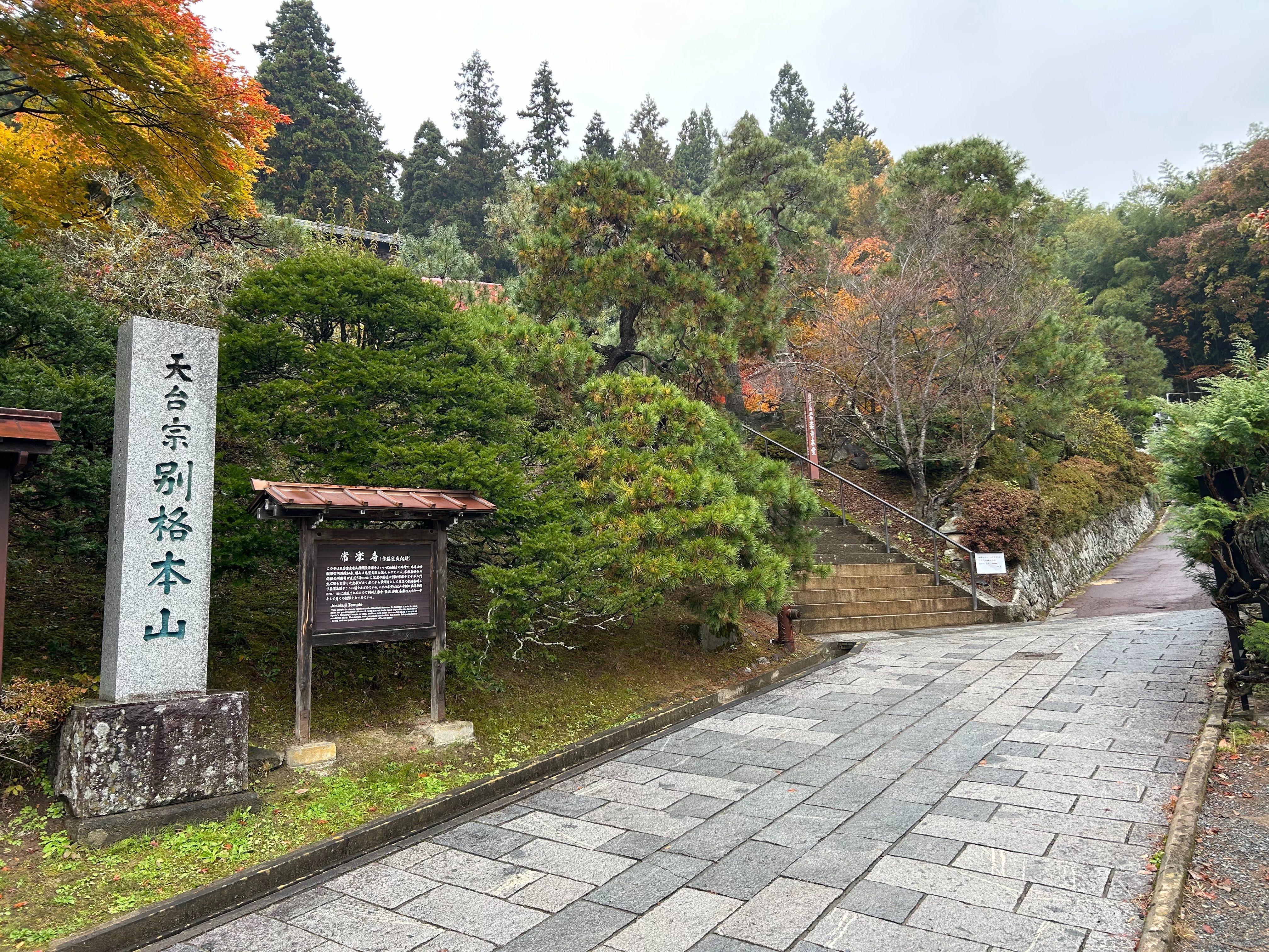 f:id:yoyorinrinyuyu:20251109225216j:image