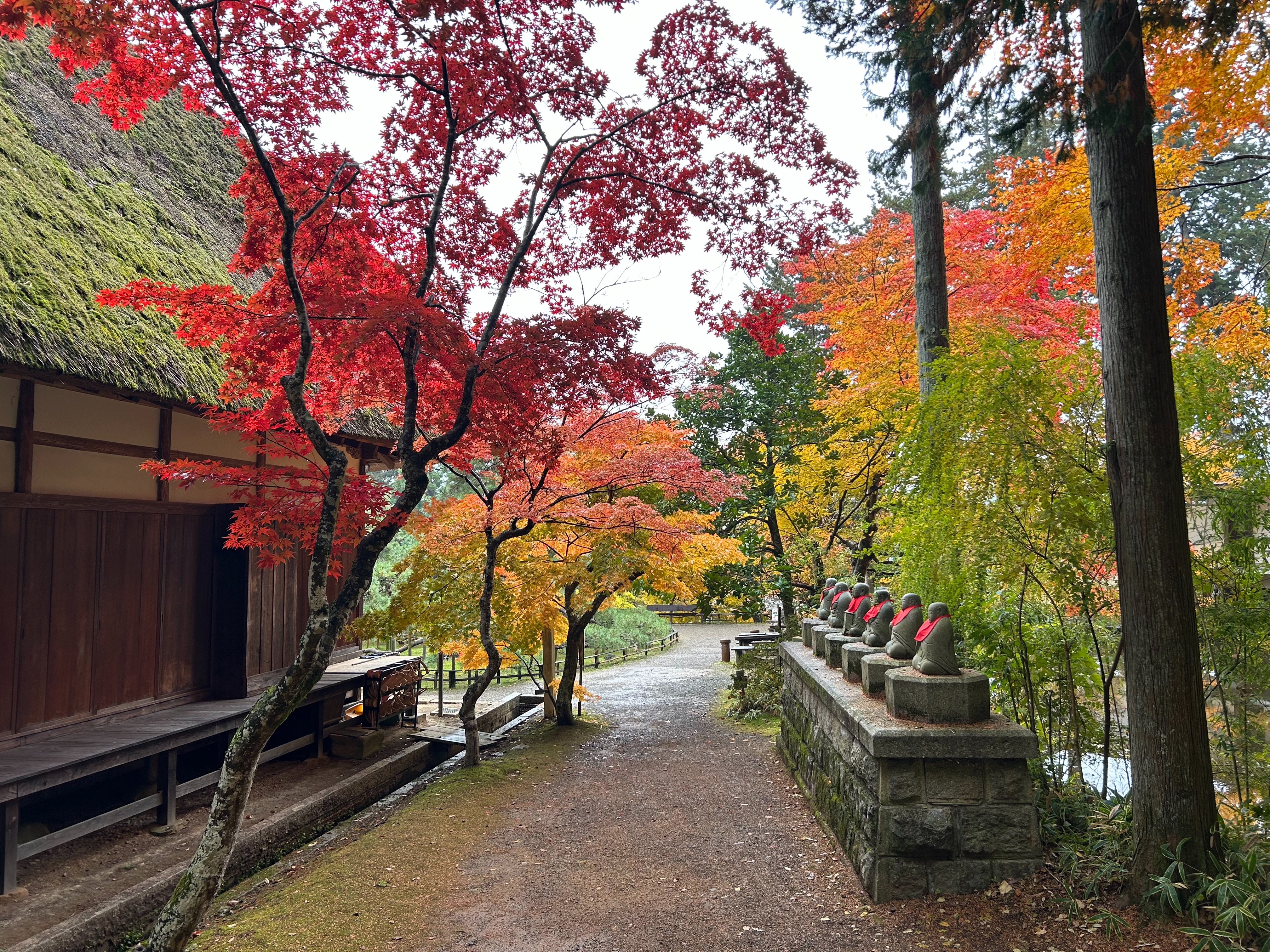 f:id:yoyorinrinyuyu:20251109225256j:image