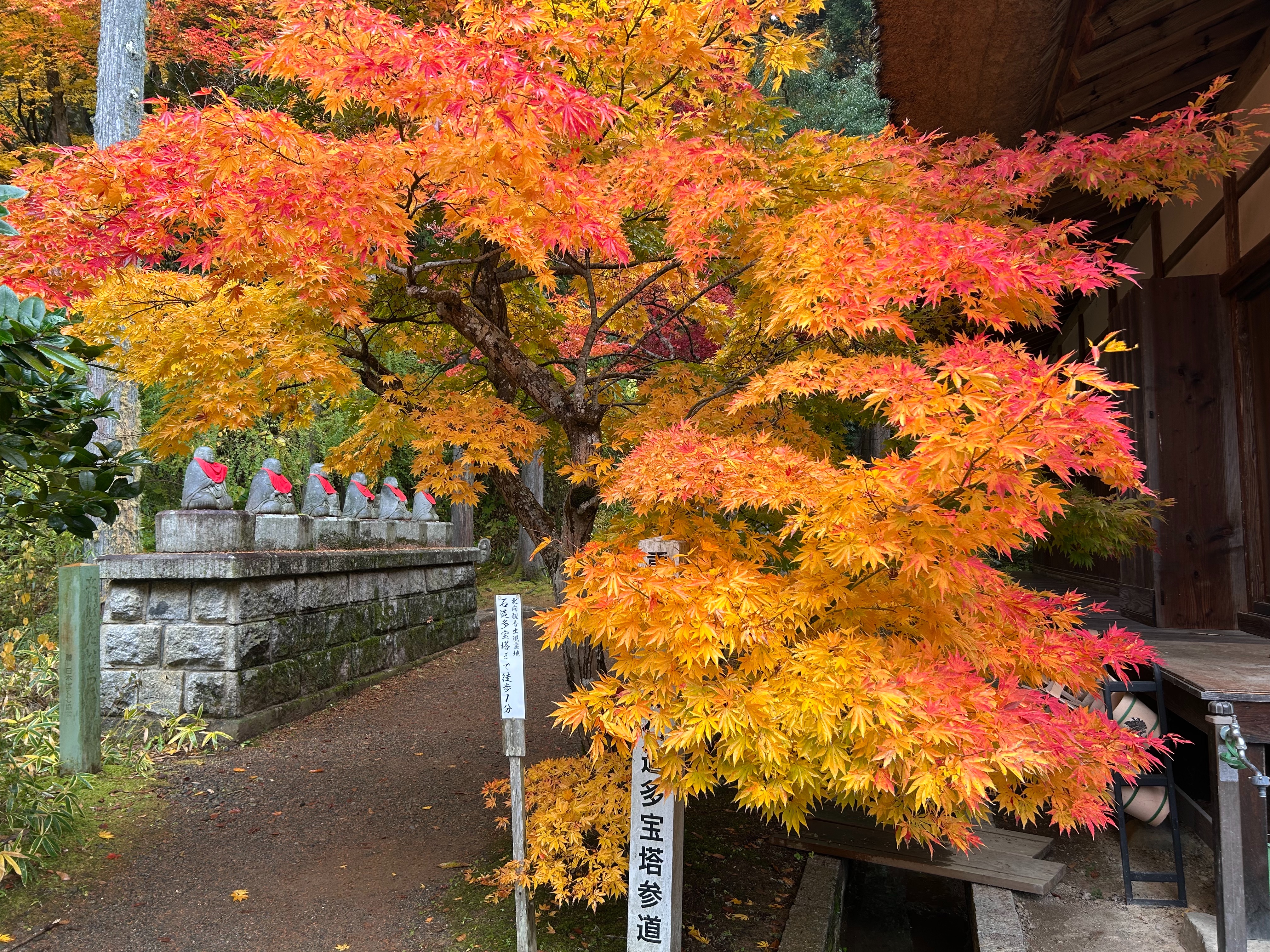 f:id:yoyorinrinyuyu:20251109225316j:image