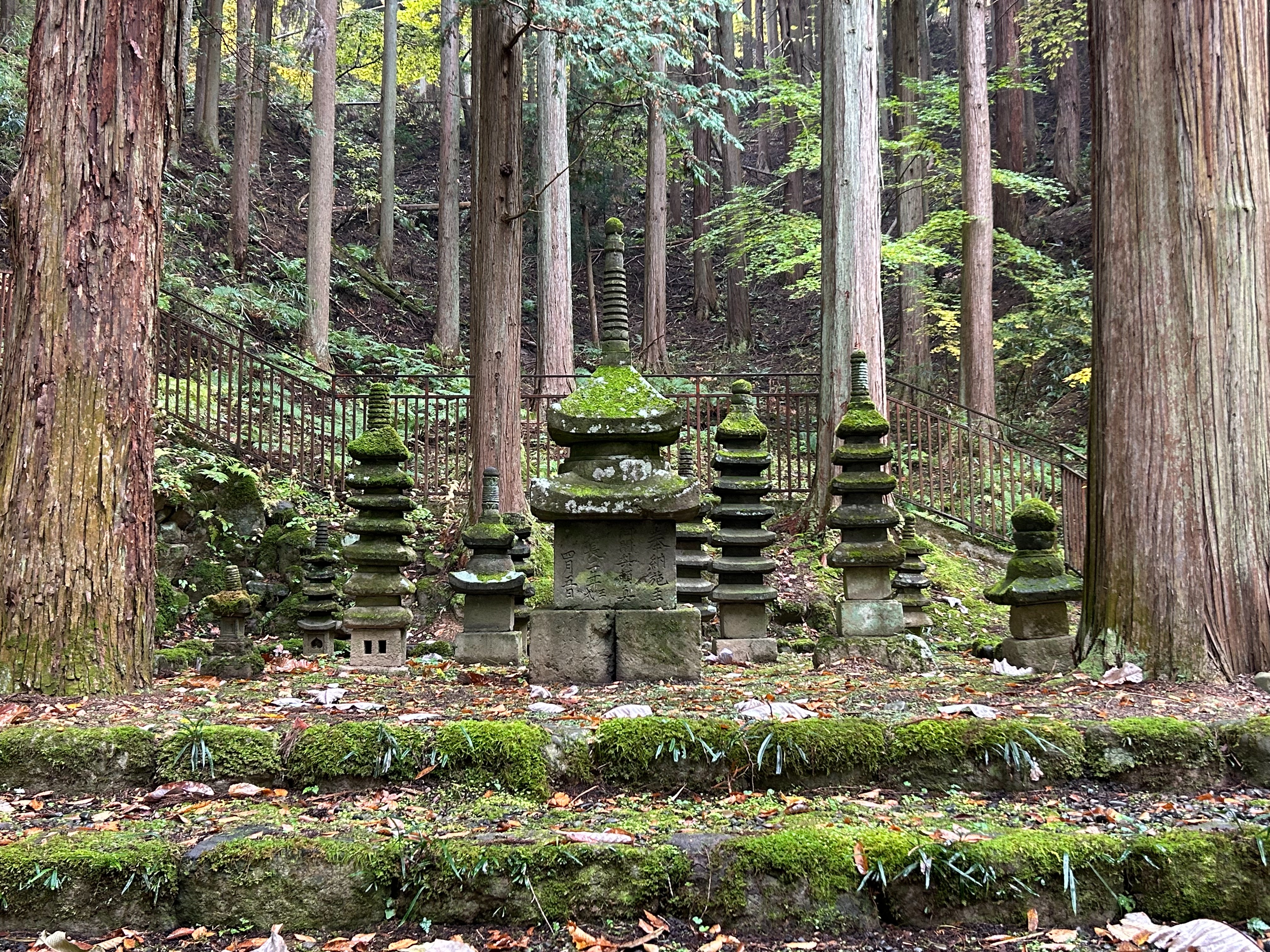 f:id:yoyorinrinyuyu:20251109225322j:image