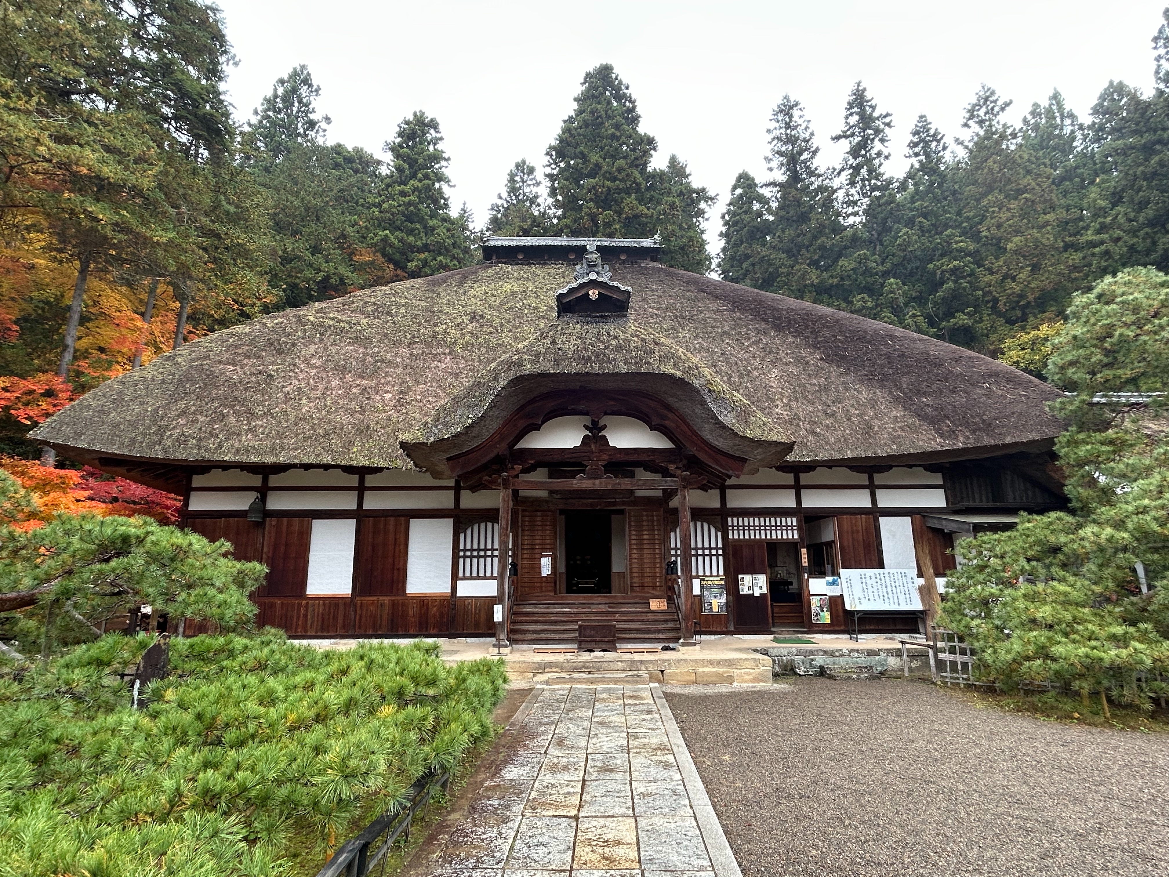 f:id:yoyorinrinyuyu:20251109225331j:image