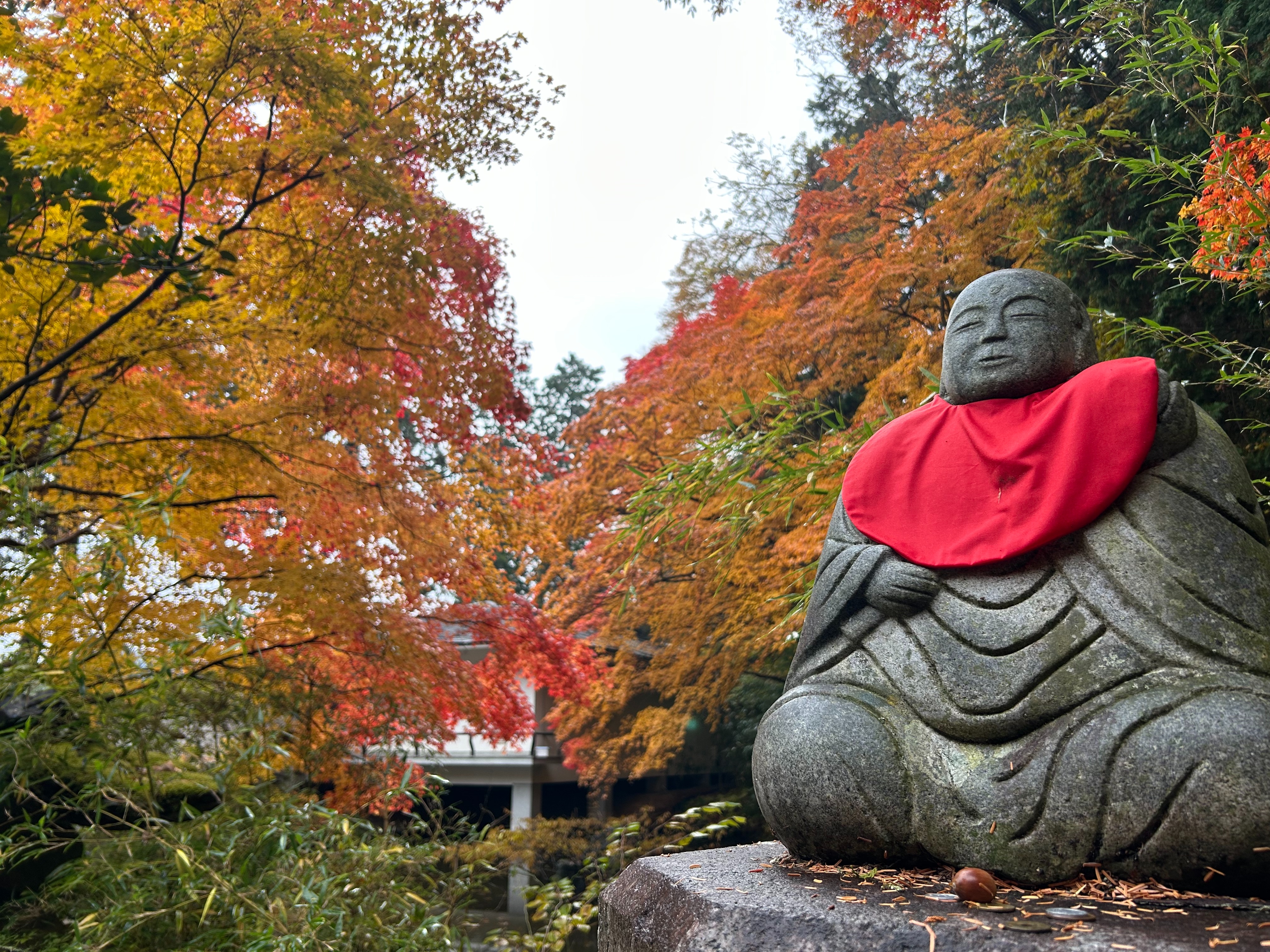 f:id:yoyorinrinyuyu:20251109225349j:image