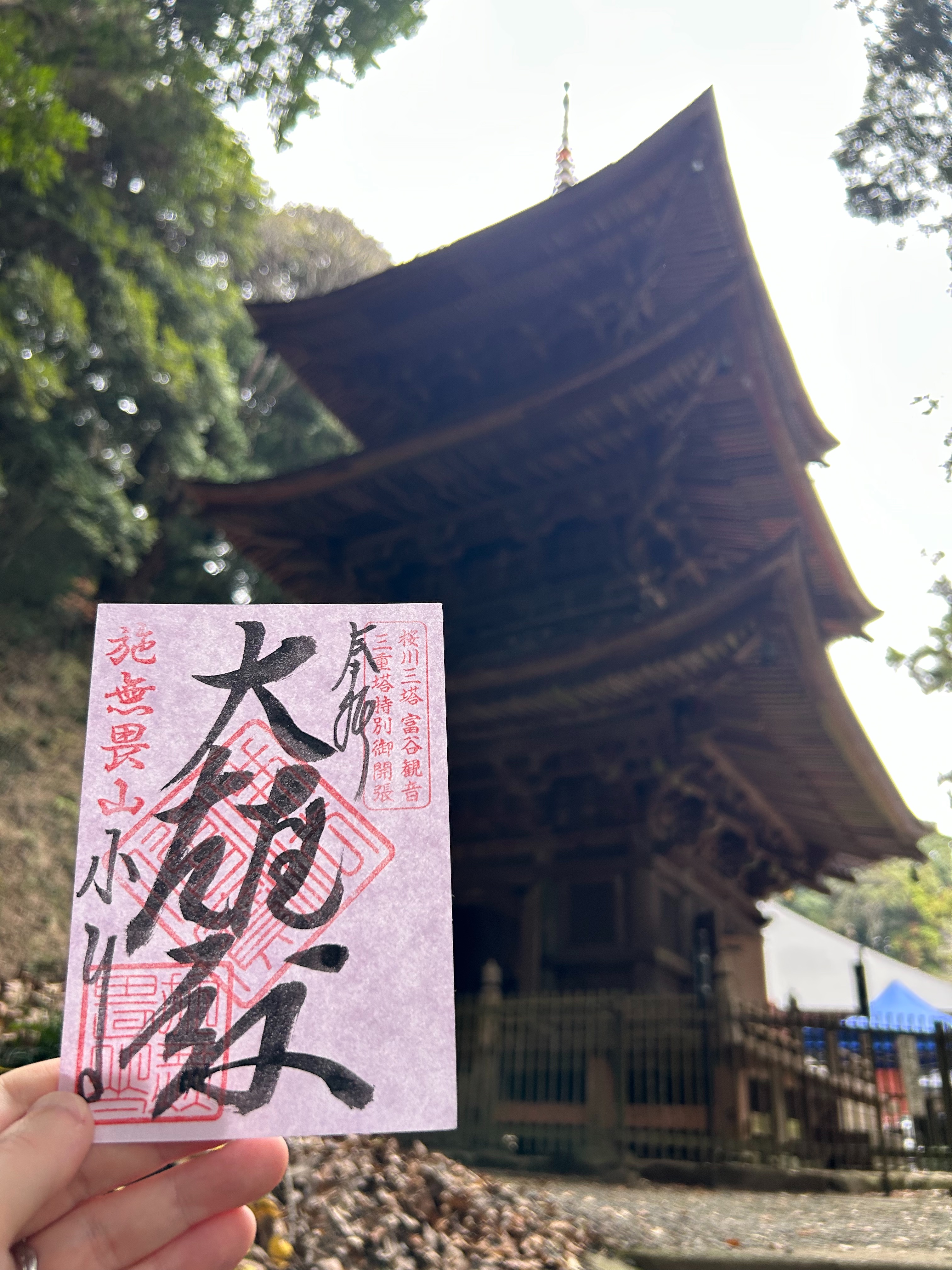 f:id:yoyorinrinyuyu:20251124092642j:image