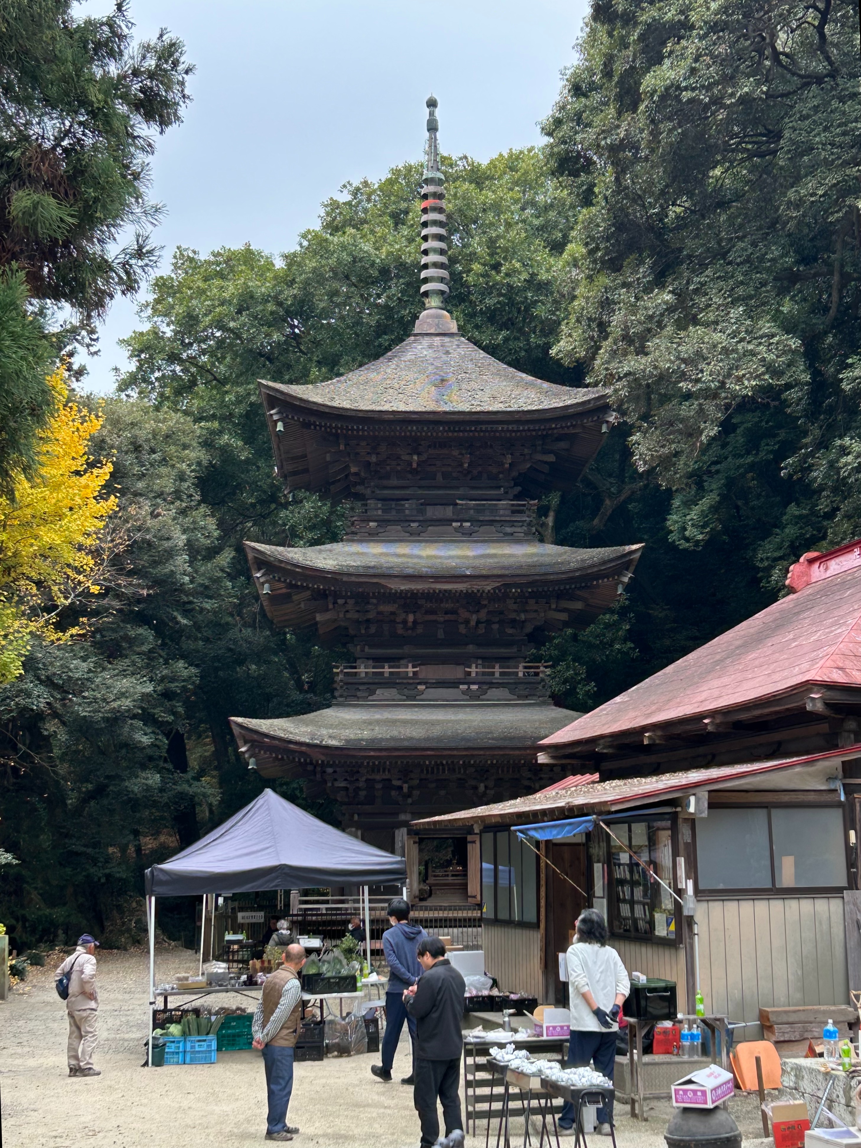 f:id:yoyorinrinyuyu:20251124092847j:image