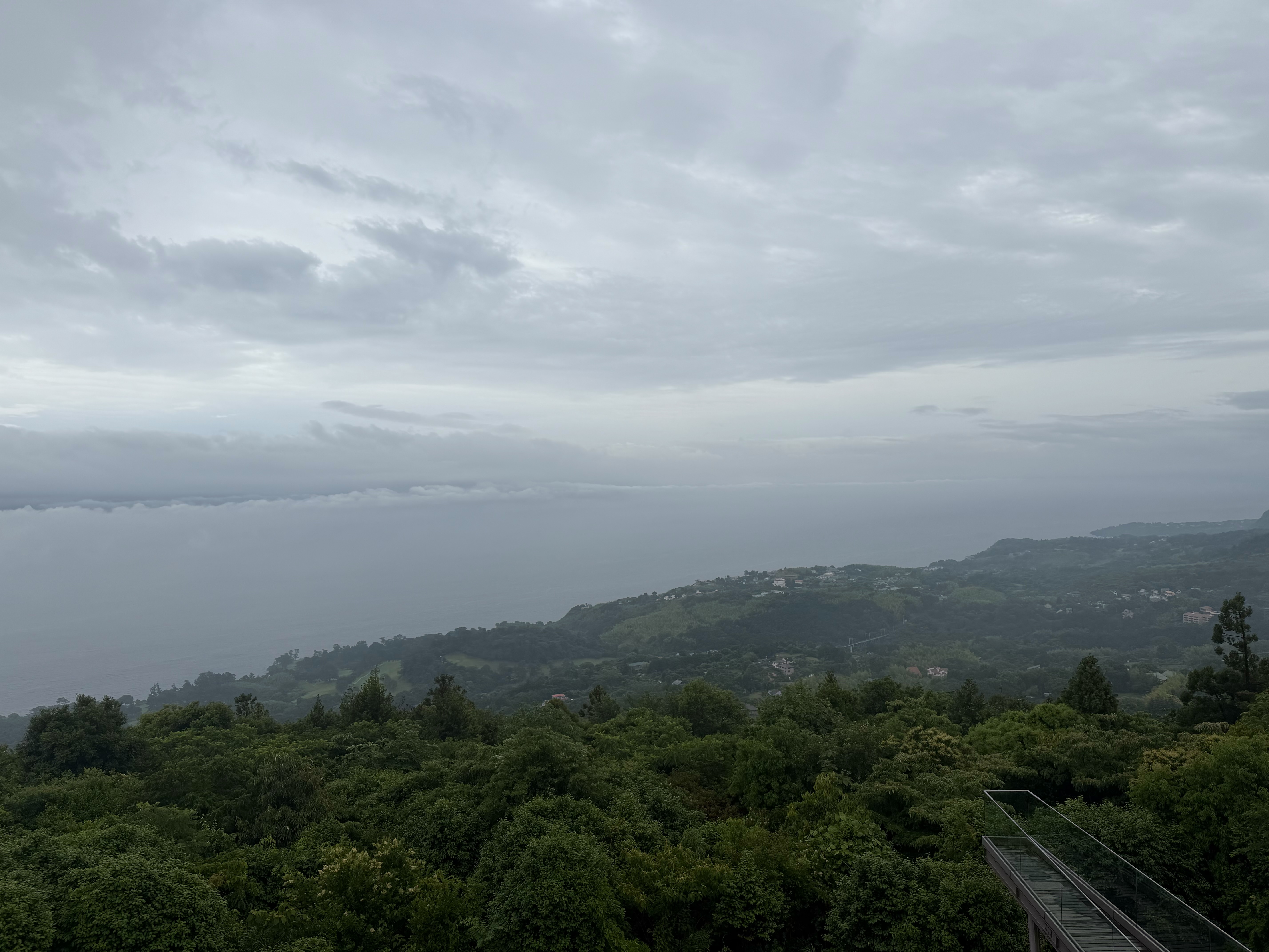 f:id:yoyorinrinyuyu:20260607181541j:image f:id:yoyorinrinyuyu:20260607181541j:image