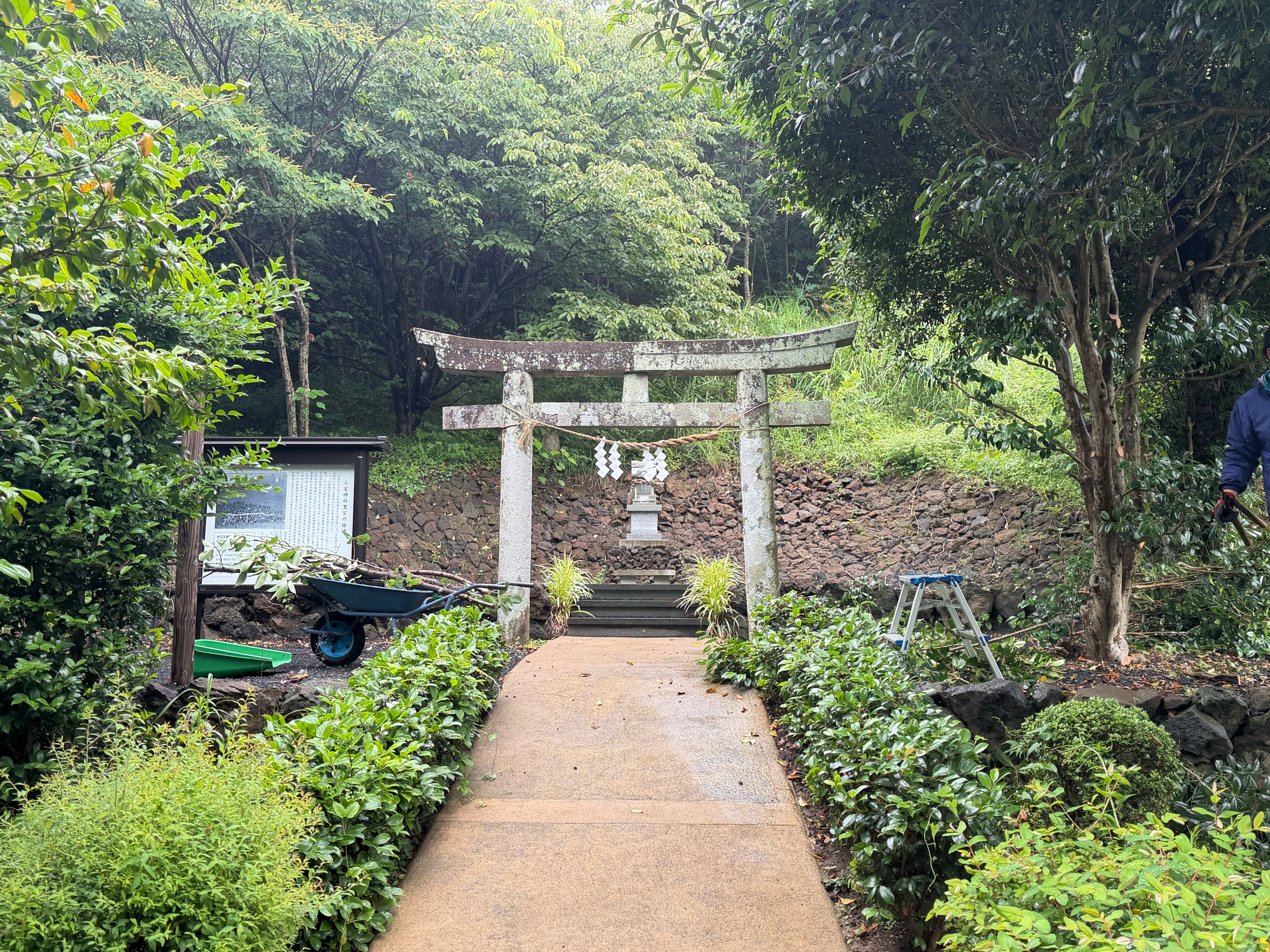 f:id:yoyorinrinyuyu:20260607181754j:image f:id:yoyorinrinyuyu:20260607181754j:image