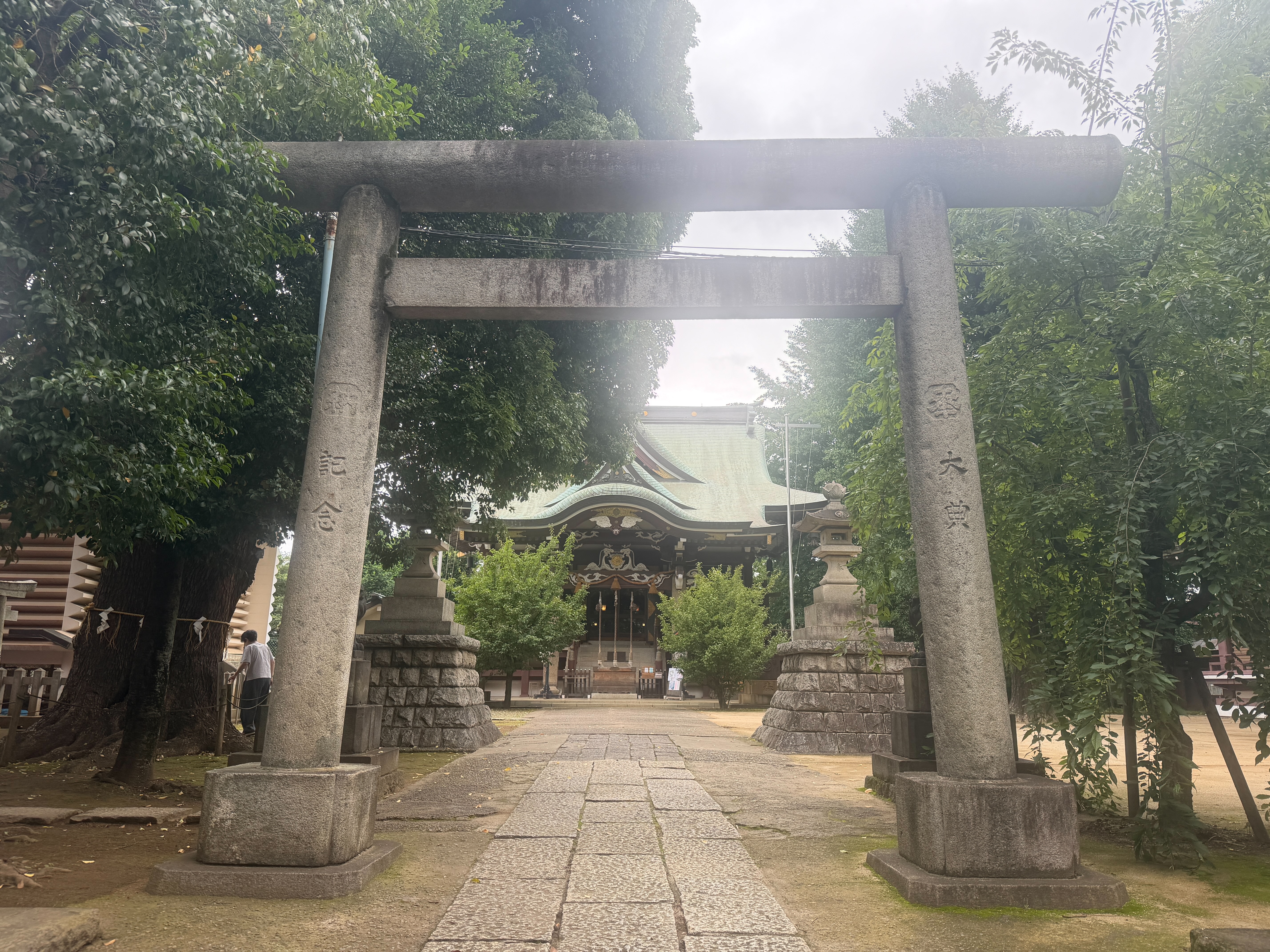 f:id:yoyorinrinyuyu:20260708083809j:image