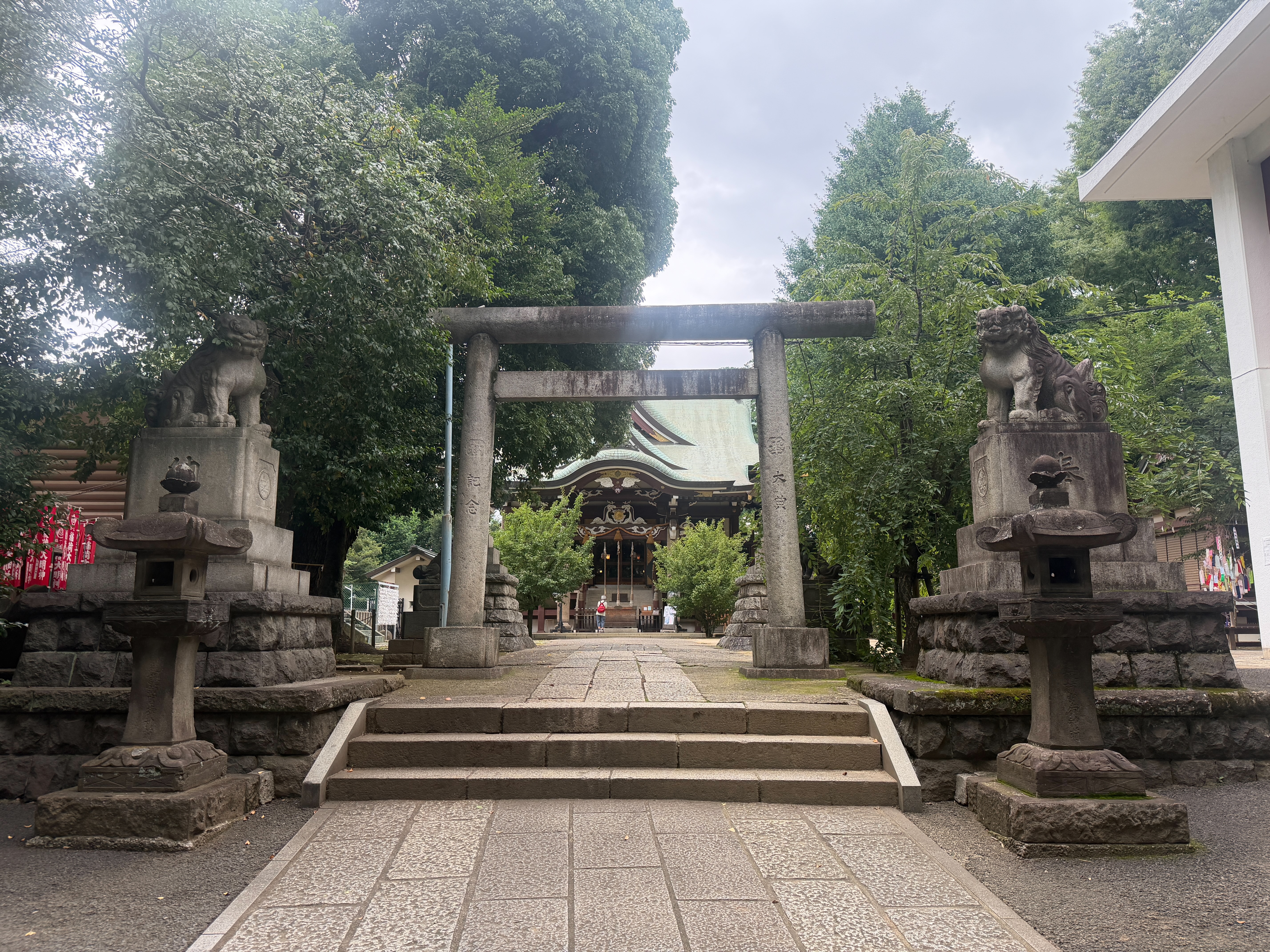 f:id:yoyorinrinyuyu:20260708084003j:image