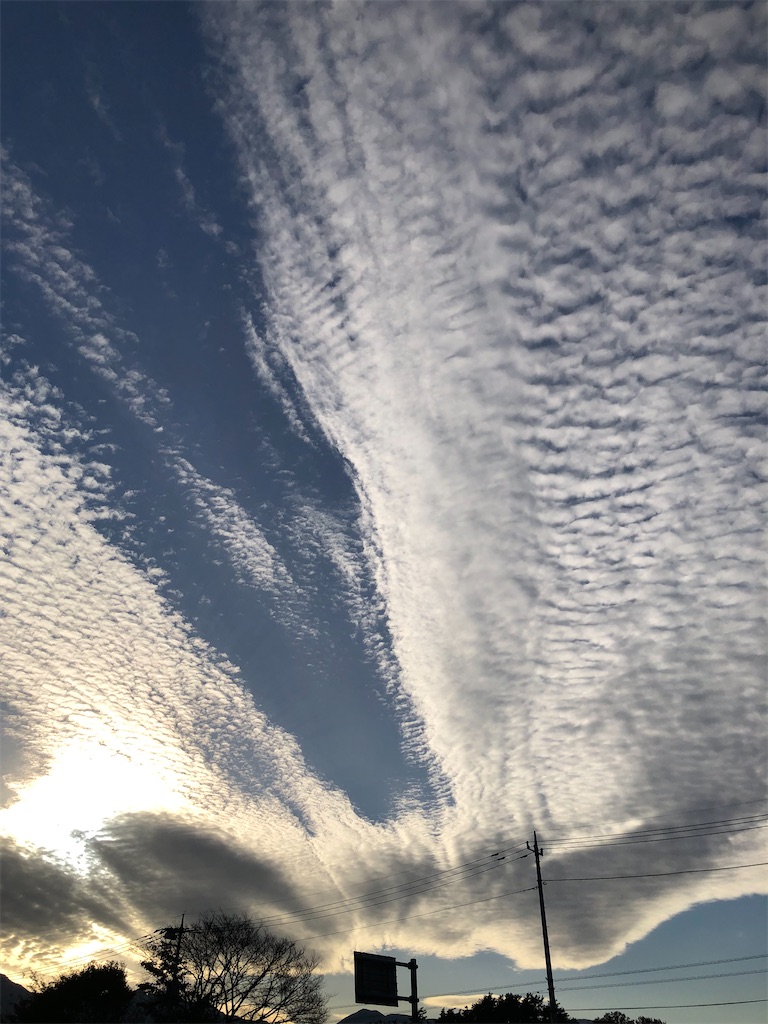 f:id:yozoranikirameku:20251112093755j:image f:id:yozoranikirameku:20251112093755j:image