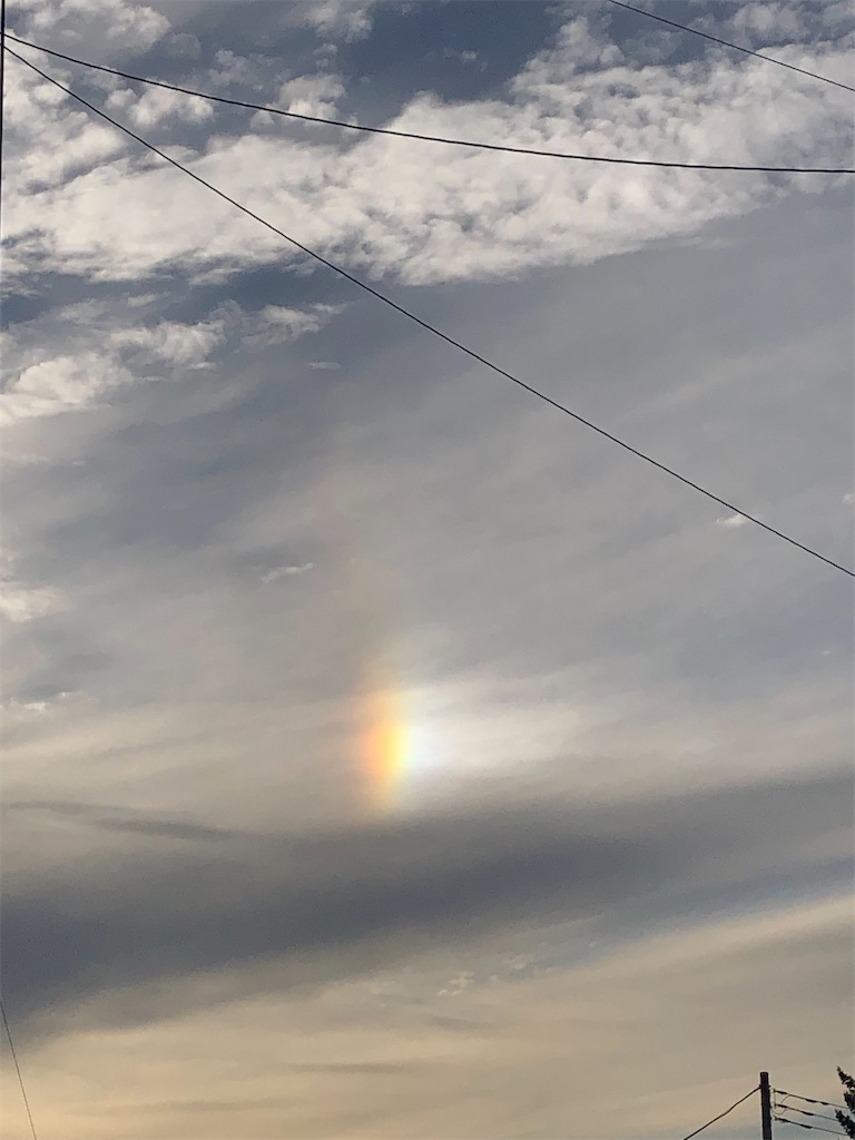 f:id:yozoranikirameku:20251115093252j:image f:id:yozoranikirameku:20251115093252j:image