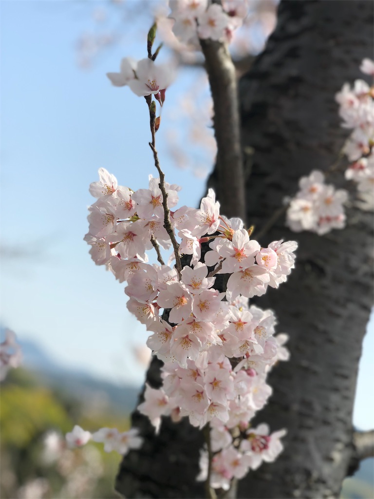 f:id:yozyworld:20180331104900j:image f:id:yozyworld:20180331104900j:image