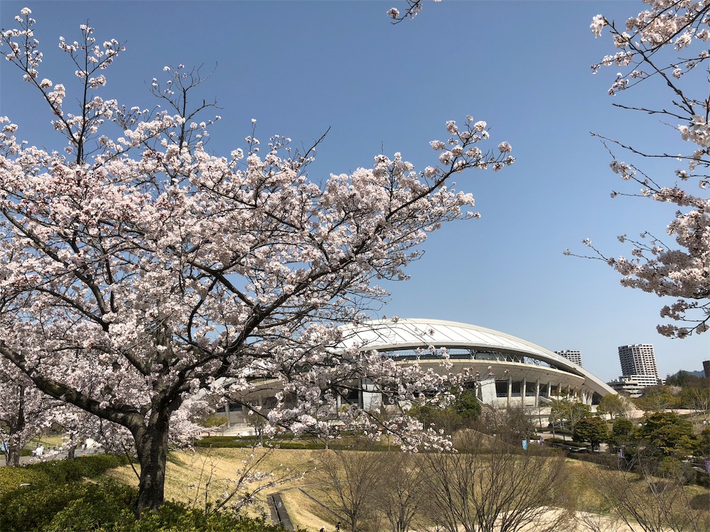 f:id:yozyworld:20180331105036j:image f:id:yozyworld:20180331105036j:image