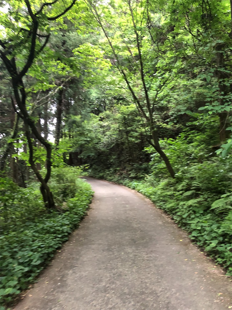 f:id:yozyworld:20190528065118j:image