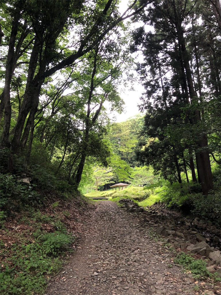 f:id:yozyworld:20190528070257j:image