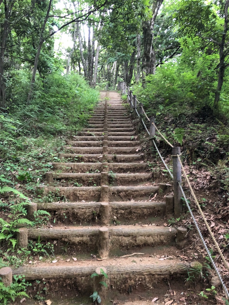 f:id:yozyworld:20190528070306j:image