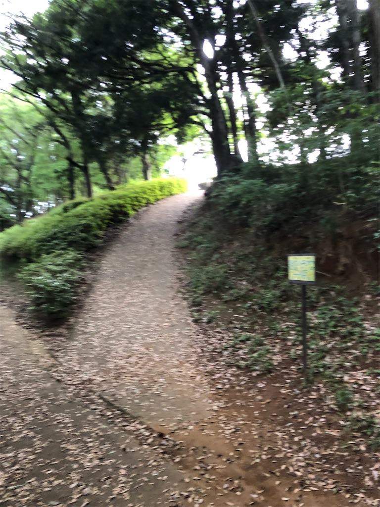 f:id:yozyworld:20190528070343j:image
