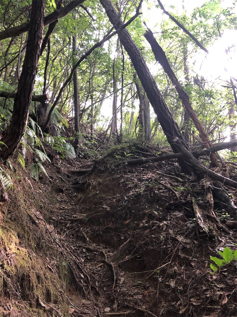 f:id:yozyworld:20190808091629j:image f:id:yozyworld:20190808091629j:image