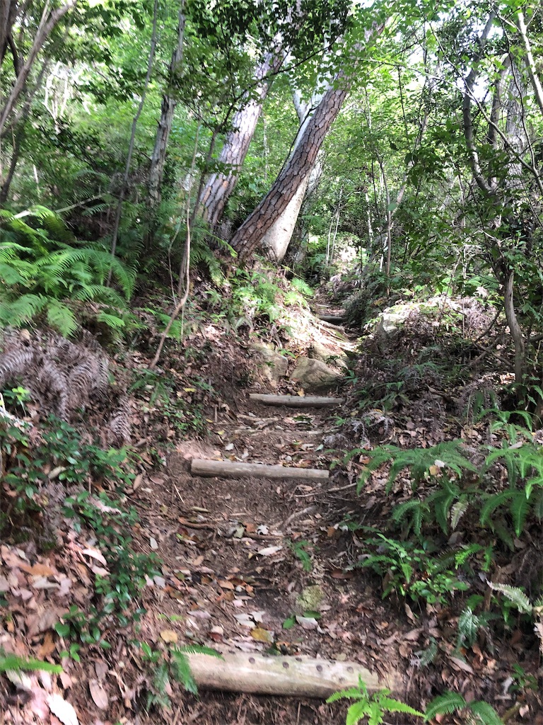 f:id:yozyworld:20190808091635j:image f:id:yozyworld:20190808091635j:image
