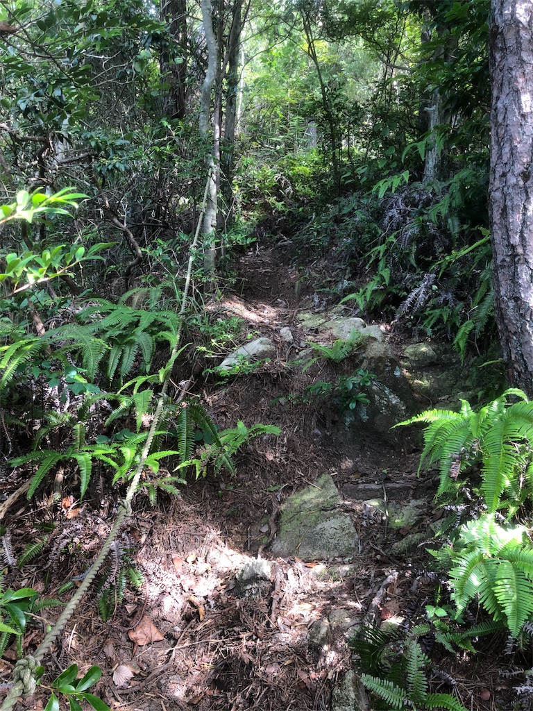 f:id:yozyworld:20190808091706j:image f:id:yozyworld:20190808091706j:image