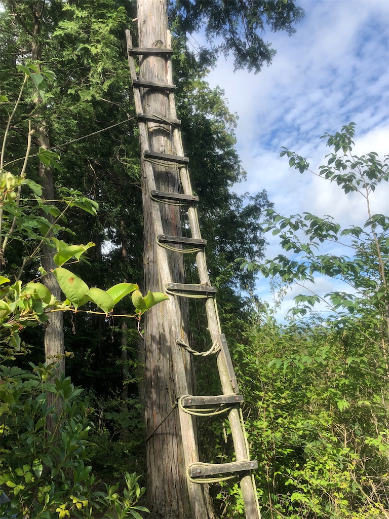 f:id:yozyworld:20190808091932j:image f:id:yozyworld:20190808091932j:image