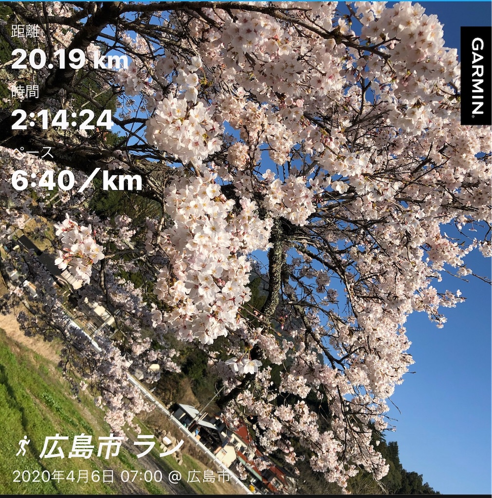 f:id:yozyworld:20200406153627j:image f:id:yozyworld:20200406153627j:image