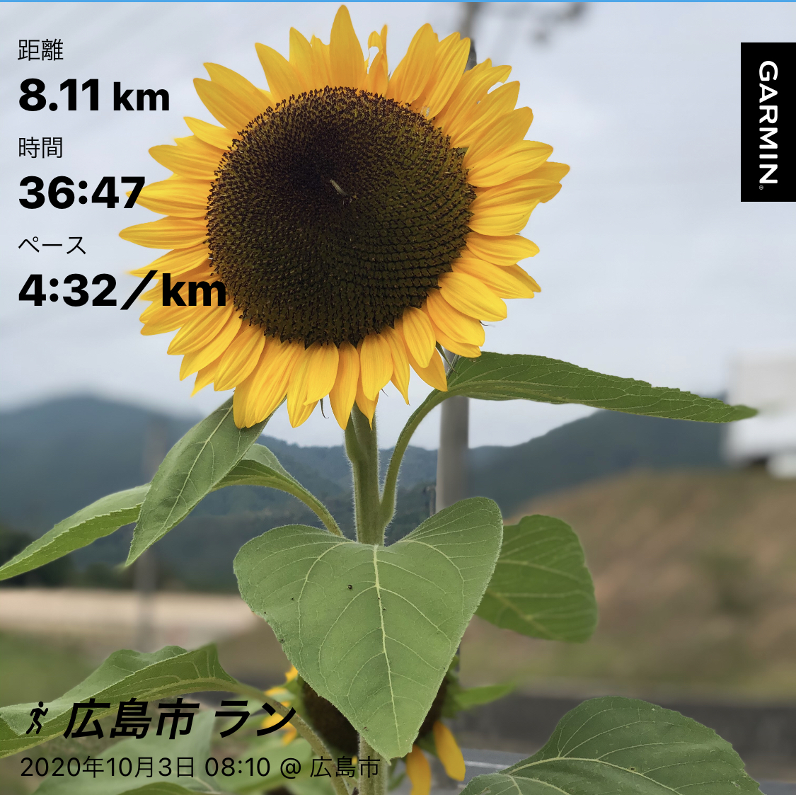 f:id:yozyworld:20201003100959j:plain f:id:yozyworld:20201003100959j:plain