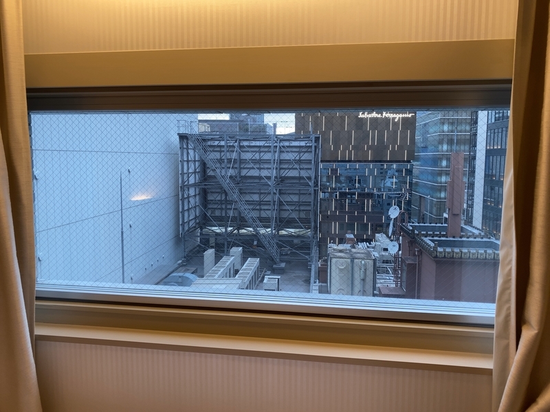 f:id:ypflenz:20210509004927j:plain