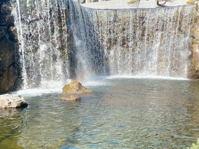 f:id:ypflenz:20220214232953j:plain