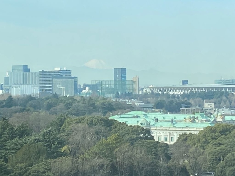 f:id:ypflenz:20220214232957j:plain