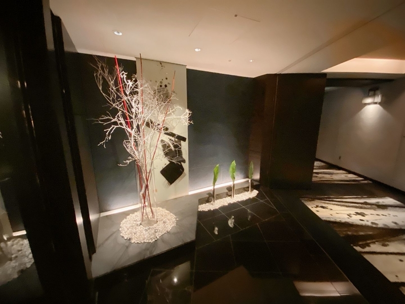 f:id:ypflenz:20220214233010j:plain