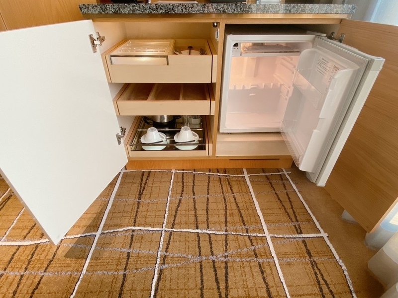 f:id:ypflenz:20220214233051j:plain