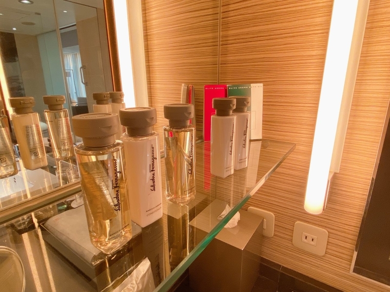 f:id:ypflenz:20220214233238j:plain