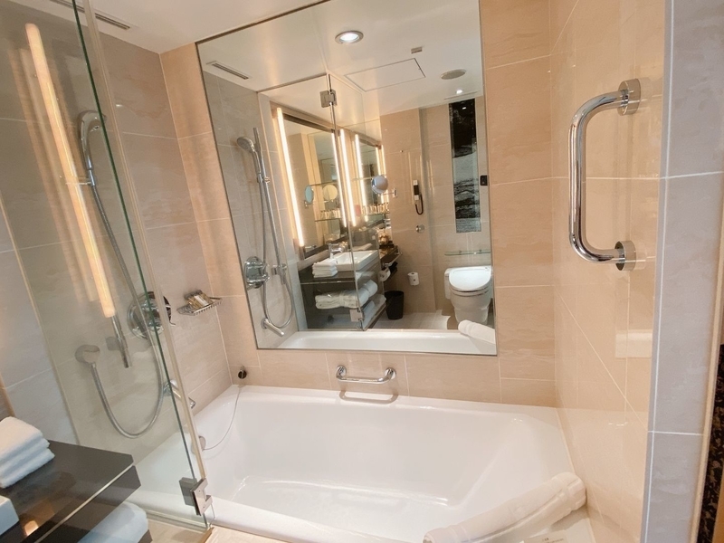 f:id:ypflenz:20220214233246j:plain