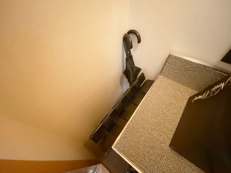 f:id:ypflenz:20220214233303j:plain