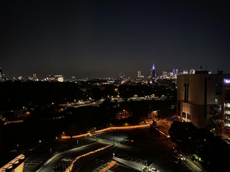 f:id:ypflenz:20220214233426j:plain