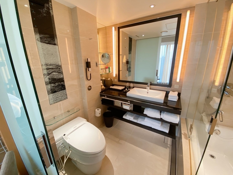 f:id:ypflenz:20220214233519j:plain