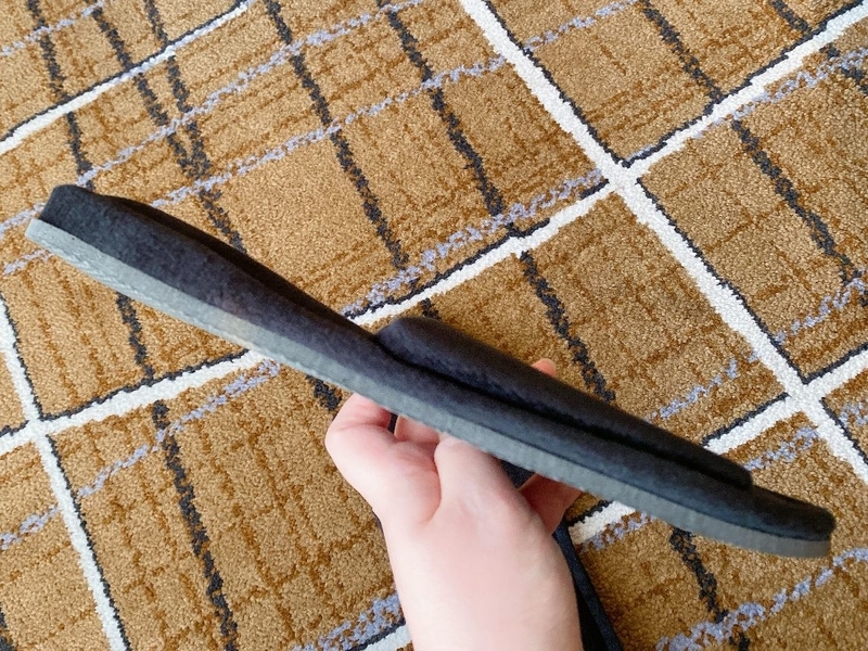 f:id:ypflenz:20220214233523j:plain