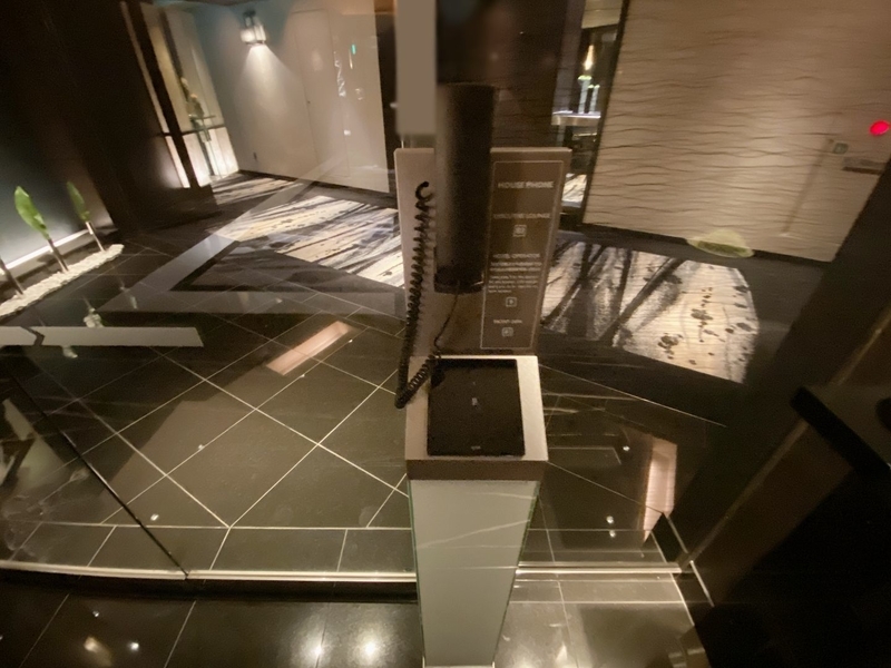 f:id:ypflenz:20220214233547j:plain